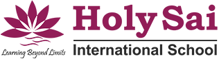 Holy Sai Group of Institutions